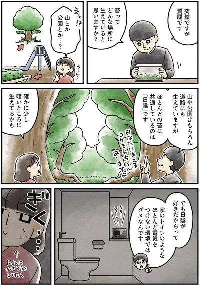 『ズボラでもできた 小さな緑で心が潤うお部屋づくり 苔テラリウムはじめました』より