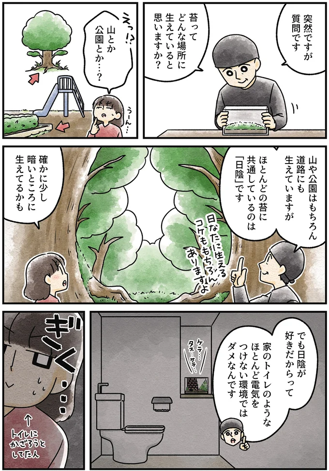 『ズボラでもできた 小さな緑で心が潤うお部屋づくり 苔テラリウムはじめました』より
