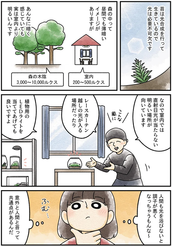 『ズボラでもできた 小さな緑で心が潤うお部屋づくり 苔テラリウムはじめました』より