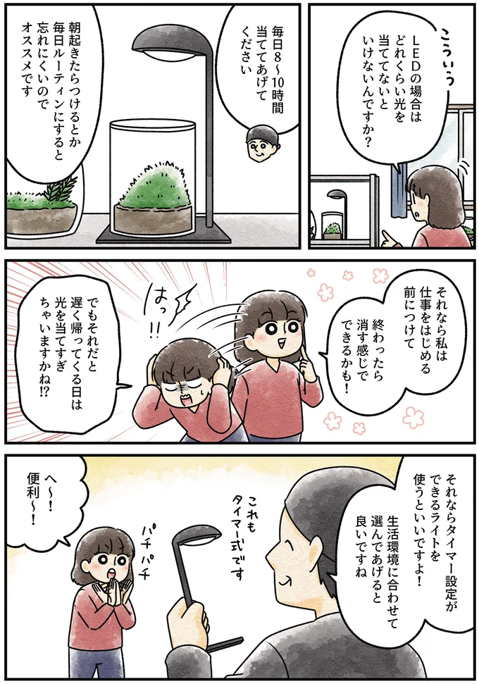 『ズボラでもできた 小さな緑で心が潤うお部屋づくり 苔テラリウムはじめました』より