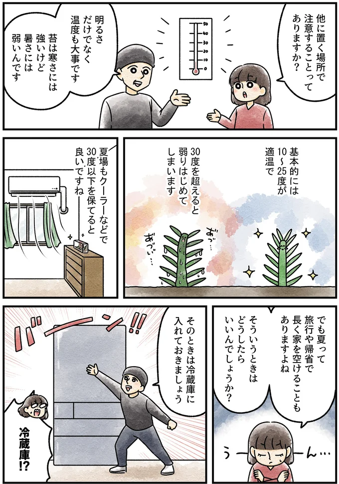 『ズボラでもできた 小さな緑で心が潤うお部屋づくり 苔テラリウムはじめました』より