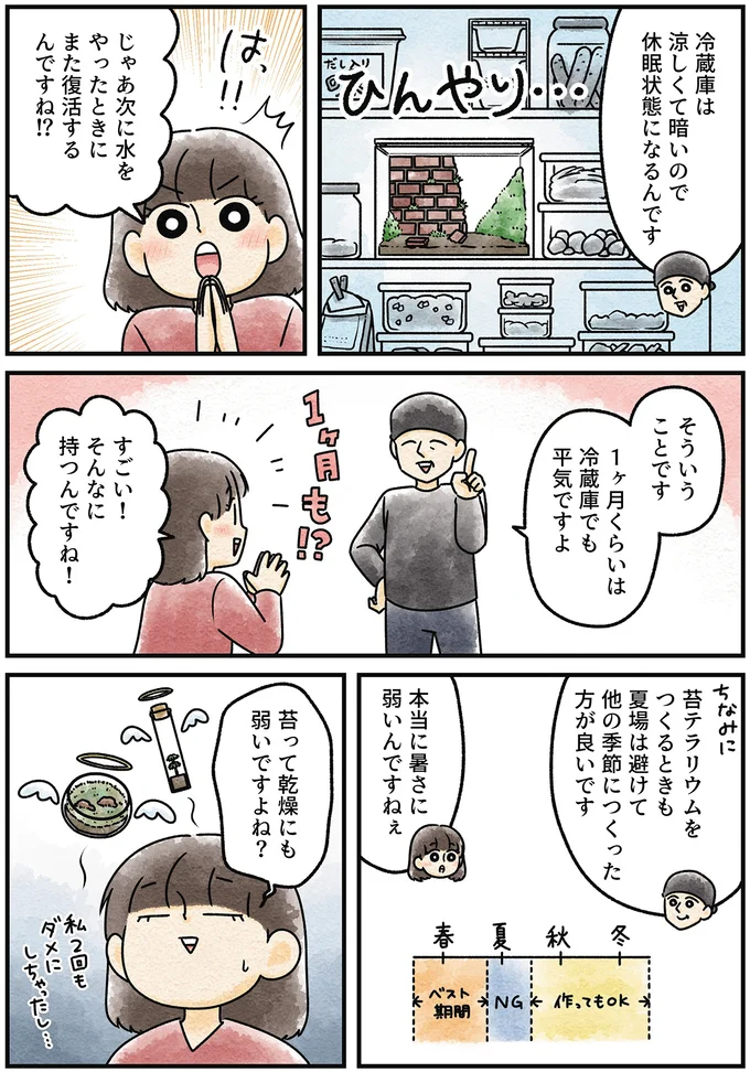 『ズボラでもできた 小さな緑で心が潤うお部屋づくり 苔テラリウムはじめました』より