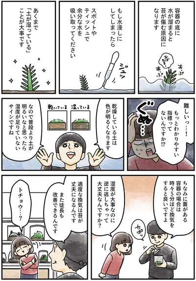 『ズボラでもできた 小さな緑で心が潤うお部屋づくり 苔テラリウムはじめました』より