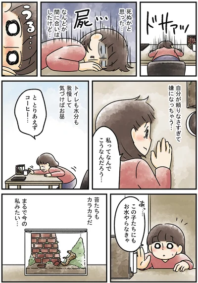 『ズボラでもできた 小さな緑で心が潤うお部屋づくり 苔テラリウムはじめました』より
