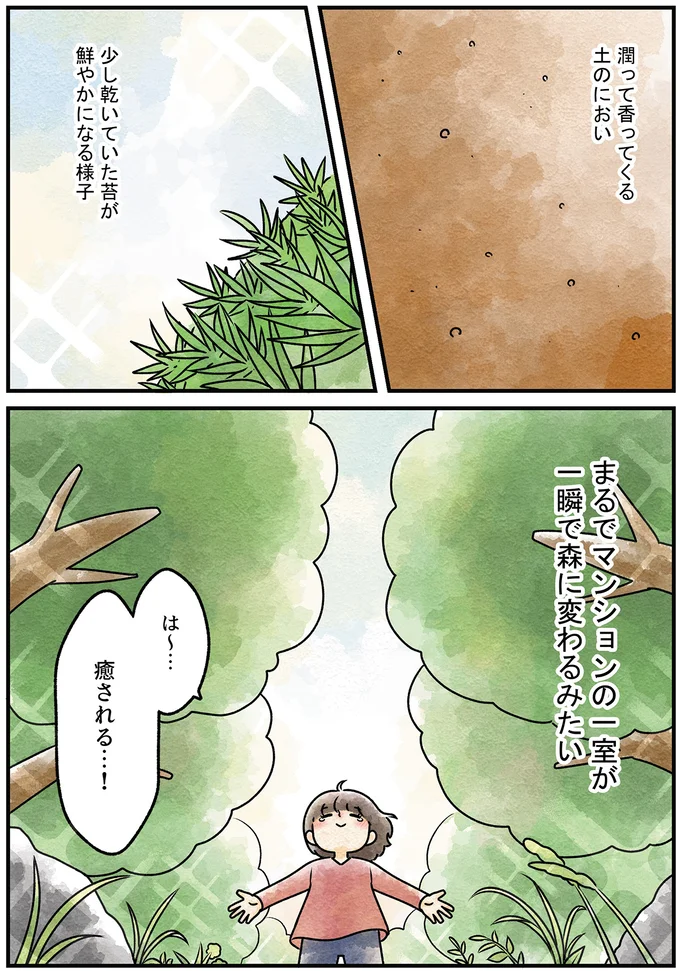 『ズボラでもできた 小さな緑で心が潤うお部屋づくり 苔テラリウムはじめました』より