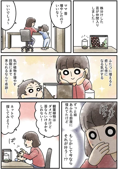 『ズボラでもできた 小さな緑で心が潤うお部屋づくり 苔テラリウムはじめました』より