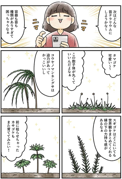 『ズボラでもできた 小さな緑で心が潤うお部屋づくり 苔テラリウムはじめました』より