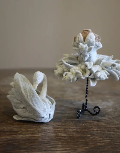 ラムズイヤーの葉は、柔らかな手触りが特徴です▶ラムズイヤーの花を使って作った羊（⇒次へ）