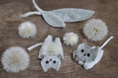 ラムズイヤーの猫▶チューリップの散った花びらで作った縄（⇒次へ）