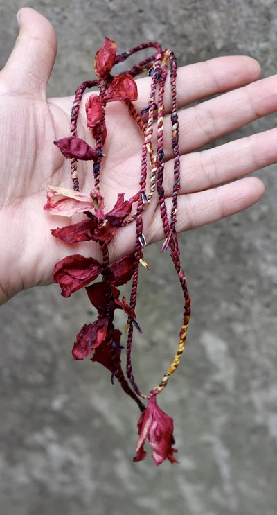 カラフルで可愛らしいですね▶花びらは自然に散ったものを集めて、乾燥させるそうです（⇒次へ）