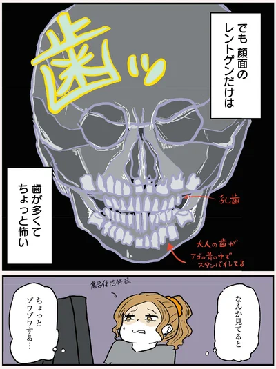 歯が多くてちょっと怖い