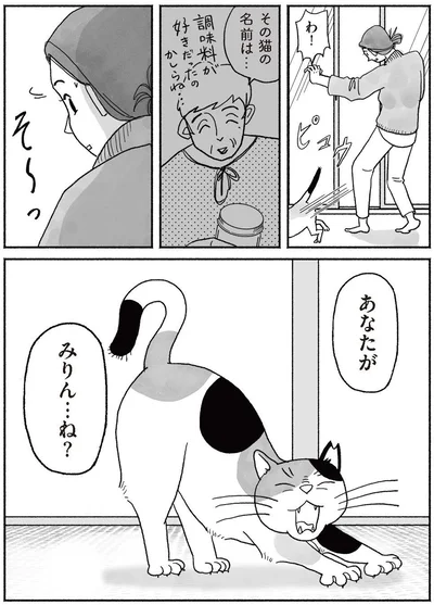 『猫待ち古民家のレシピ帖1』より
