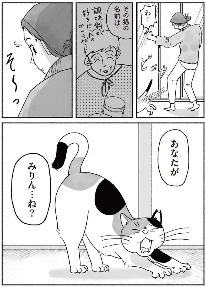 『猫待ち古民家のレシピ帖1』より