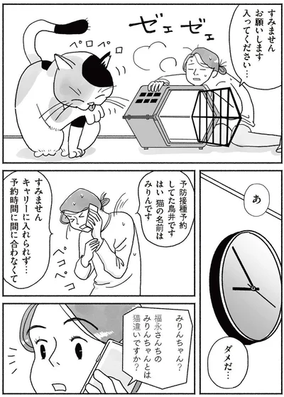 『猫待ち古民家のレシピ帖1』より
