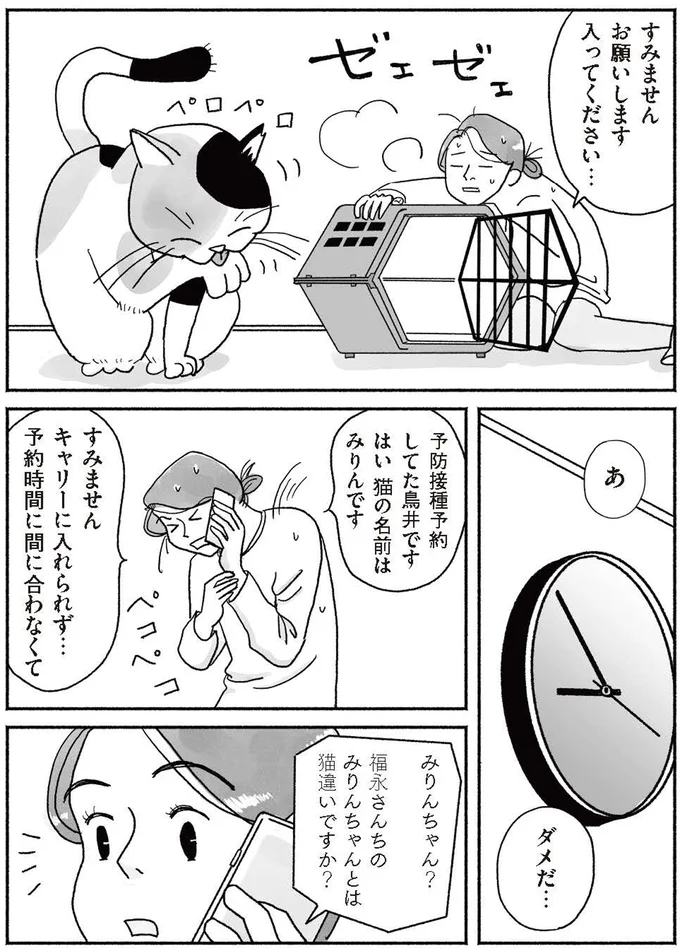 『猫待ち古民家のレシピ帖1』より