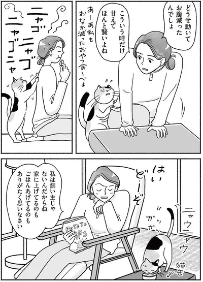 『猫待ち古民家のレシピ帖1』より