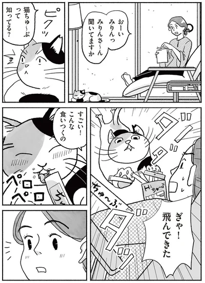 『猫待ち古民家のレシピ帖1』より