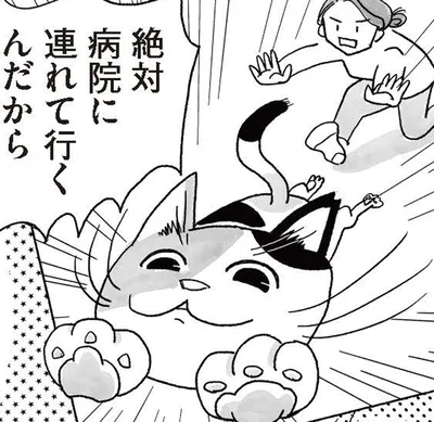 絶対病院に連れて行くんだから