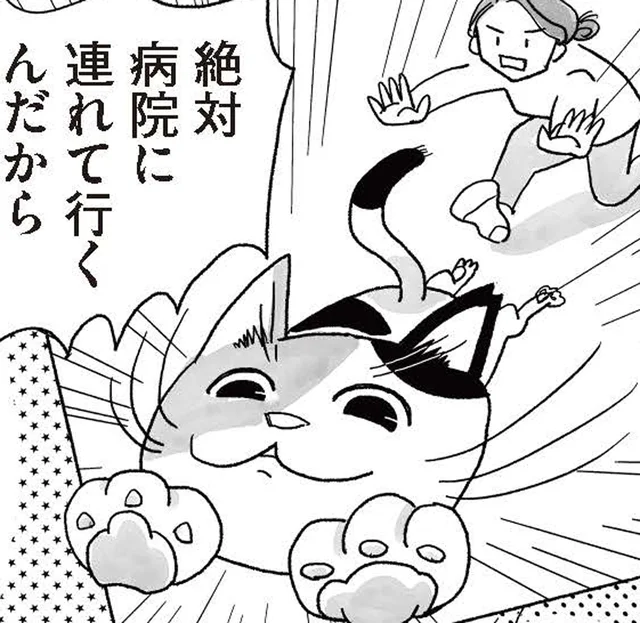 半分野良とはいえ、家に居着く猫。予防接種に連れて行くのにひと騒動!?／猫待ち古民家のレシピ帖1（4）