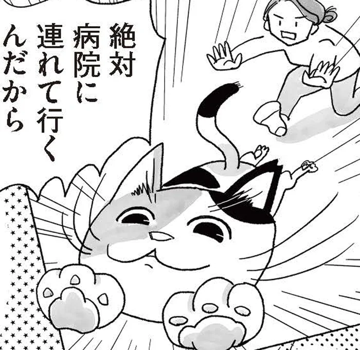 半分野良とはいえ、家に居着く猫。予防接種に連れて行くのにひと騒動!?／猫待ち古民家のレシピ帖1（4）