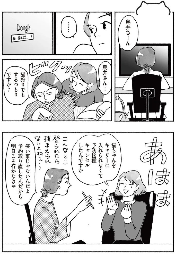 猫狩りでもするつもりですか?