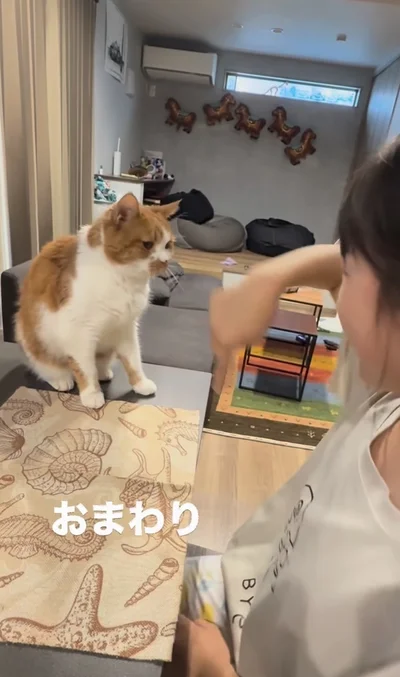 “おまわり”できるかな？▶ゆっくり腰を上げ…（⇒次へ）