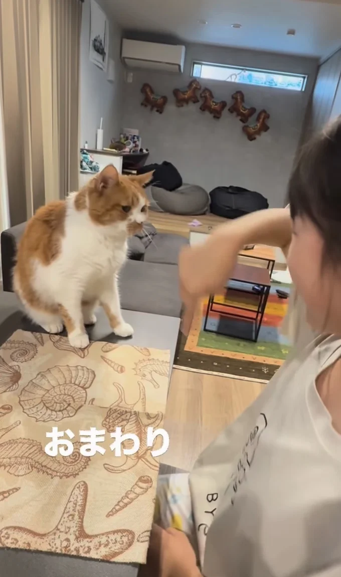 “おまわり”できるかな?▶ゆっくり腰を上げ…(⇒次へ)