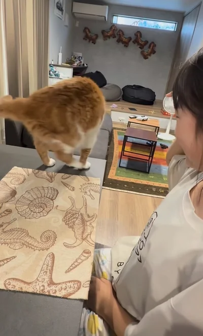 のんびり回転▶次は…（⇒次へ）