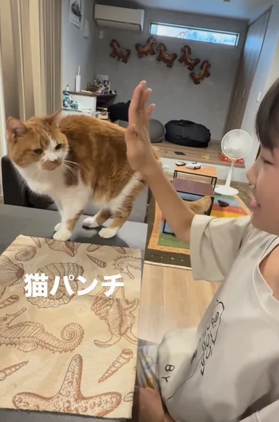 猫パンチ！▶娘さんの右手に…（⇒次へ）