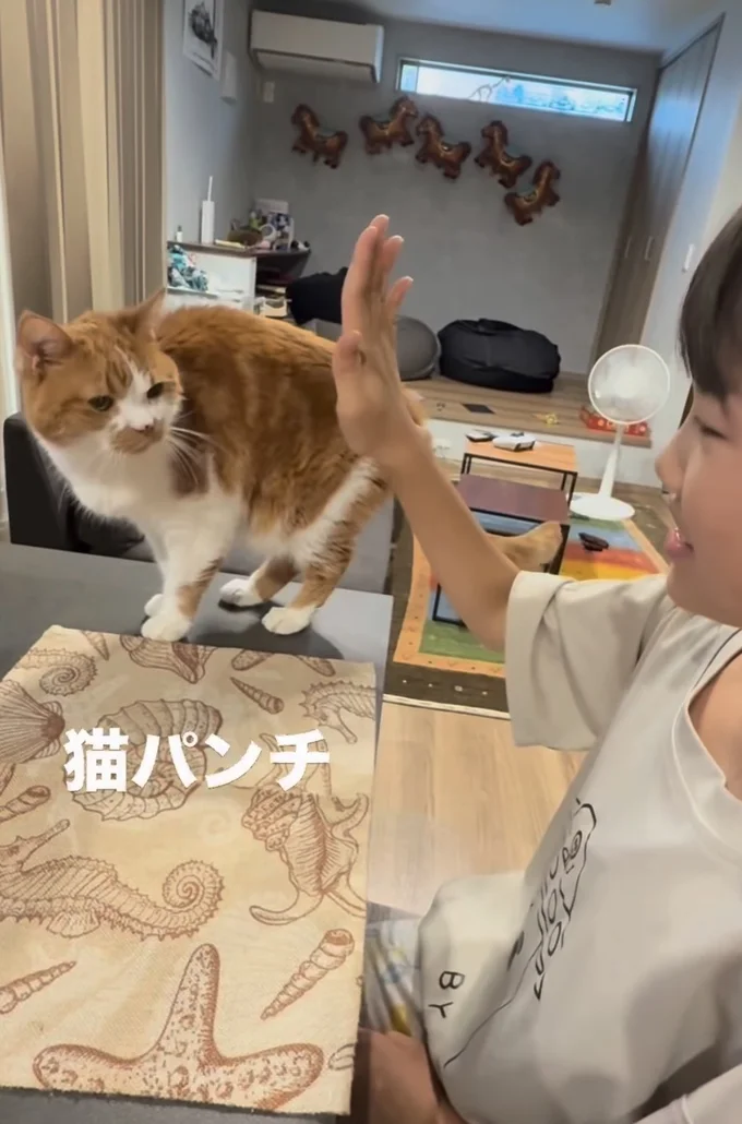 猫パンチ!▶娘さんの右手に…(⇒次へ)