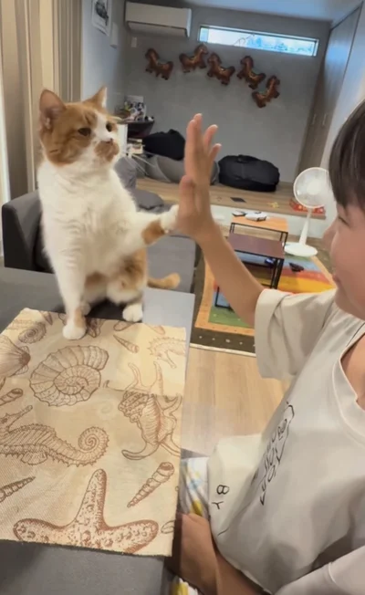 前足でタッチ▶さらに…（⇒次へ）