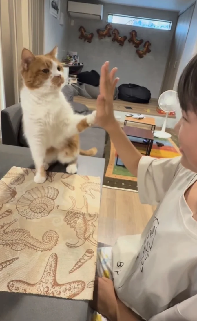 前足でタッチ▶さらに…(⇒次へ)