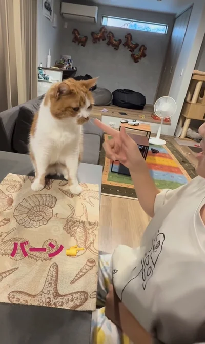 バーン！▶ゆっくりと…（⇒次へ）