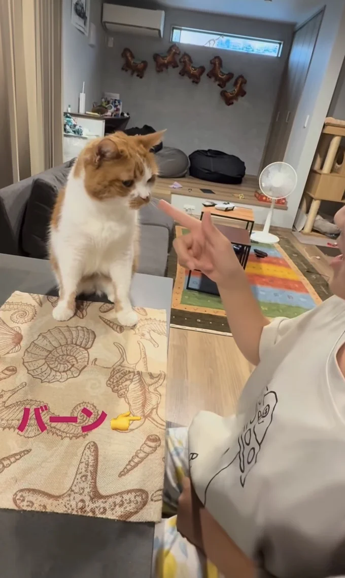 バーン!▶ゆっくりと…(⇒次へ)