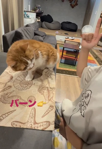 背中を落とす▶机に…（⇒次へ）