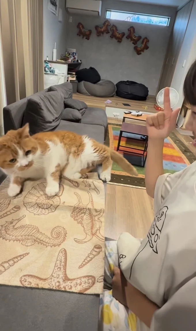 ごろん▶見事なパフォーマンスに…(⇒次へ)