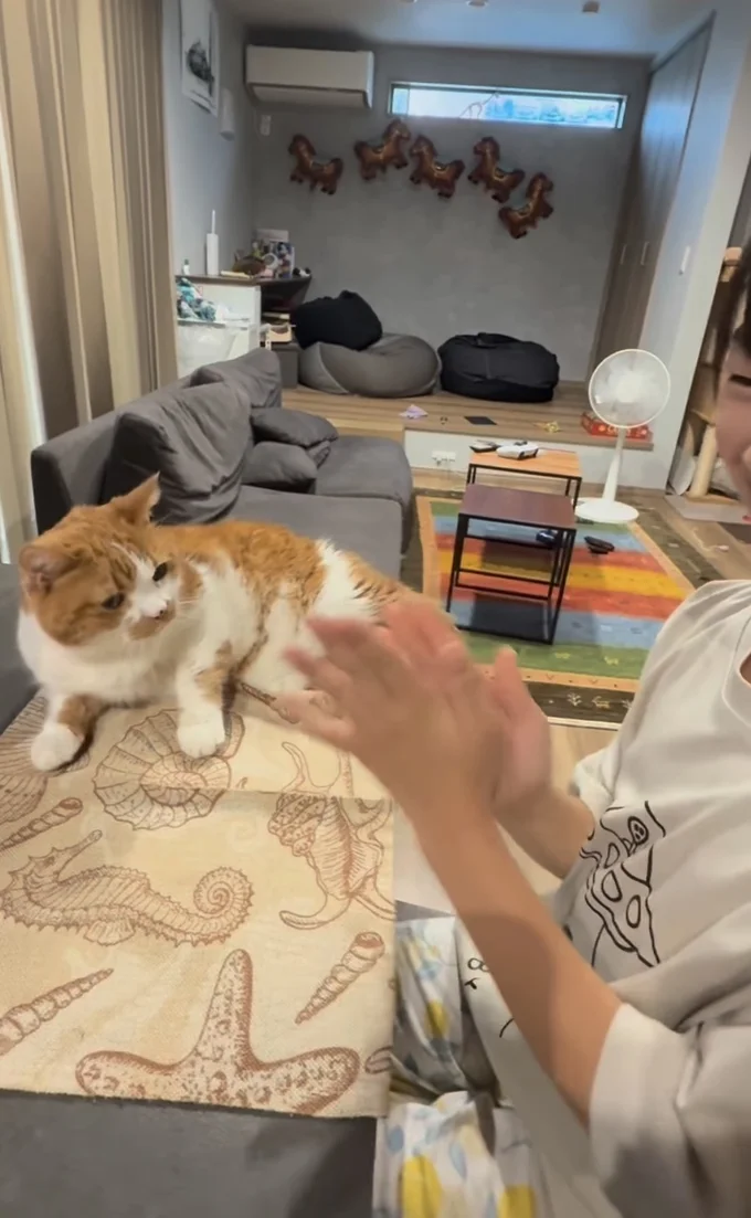 拍手する娘さん▶ダンゴくんの日常(⇒次へ)