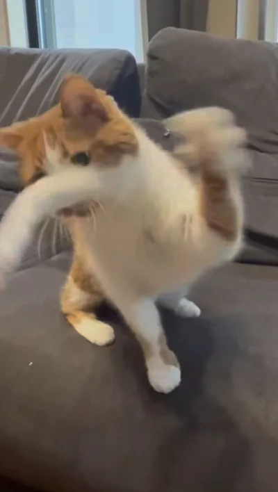 素早く飛びつく▶俊敏に…（⇒次へ）