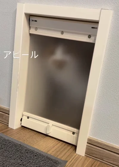 猫用ドアに影▶人間用ドアを開けると…（⇒次へ）