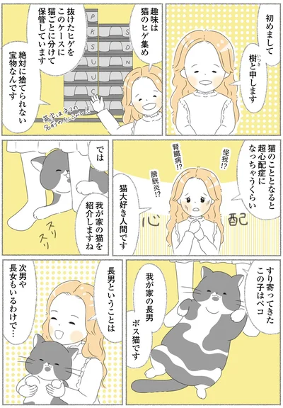 我が家の猫を紹介しますね