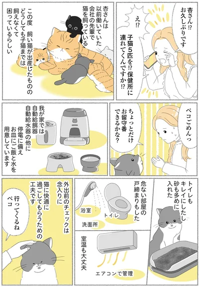 『にゃんかつ 11匹と2人の暮らし』より