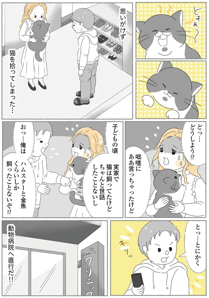 猫を拾ってしまった…