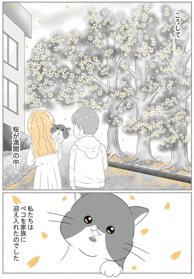 家族に迎え入れたのでした