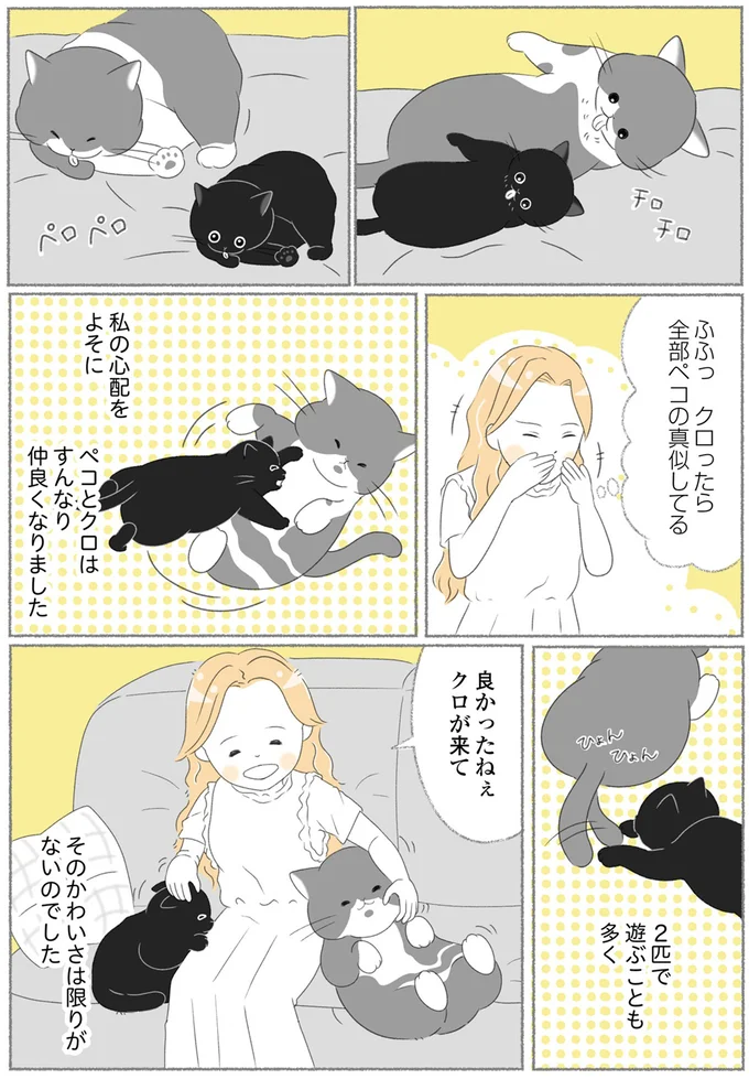 2匹で遊ぶことも多く