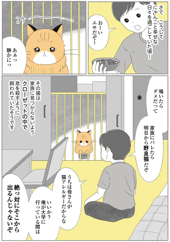 明日から野良猫だぞ