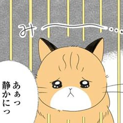 クローゼットの中で息を潜めて暮らしていた猫