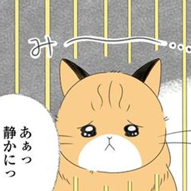 クローゼットの中で息を潜めて暮らしていた猫。引き取り手がないと聞いて!?