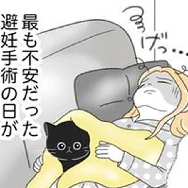生後6カ月で訪れた試練。無我夢中で向き合った子猫の子育て