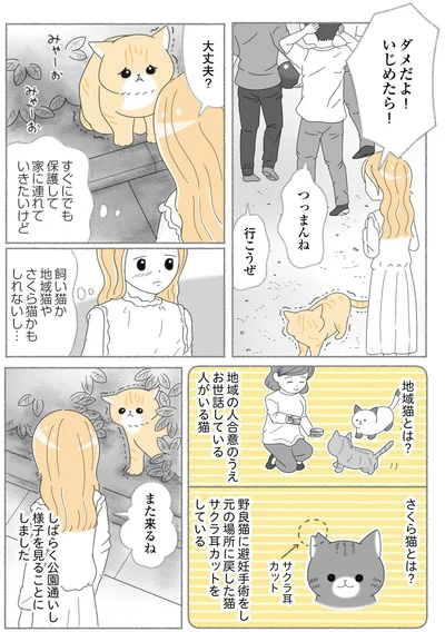 様子を見ることにしました