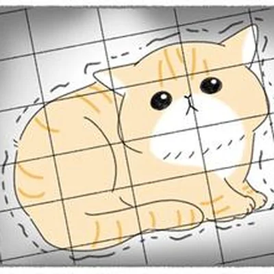 子どもにいじめられていた猫を保護